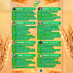 programa Feira de S&atilde;o Pedro 2024