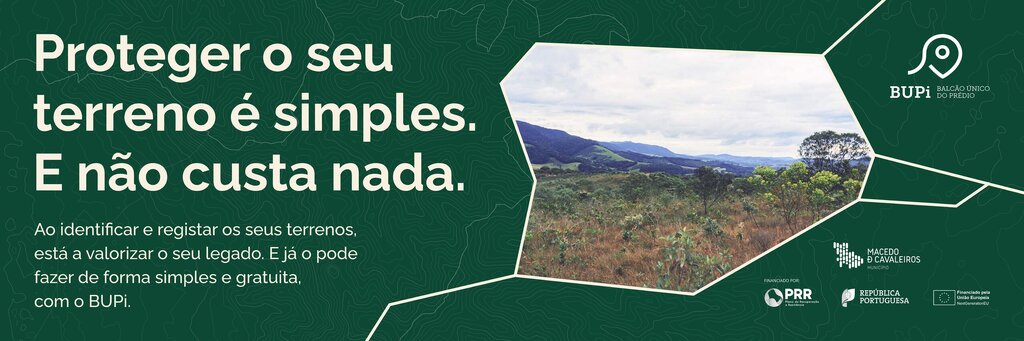 Header_Social Media_Local (1)_F