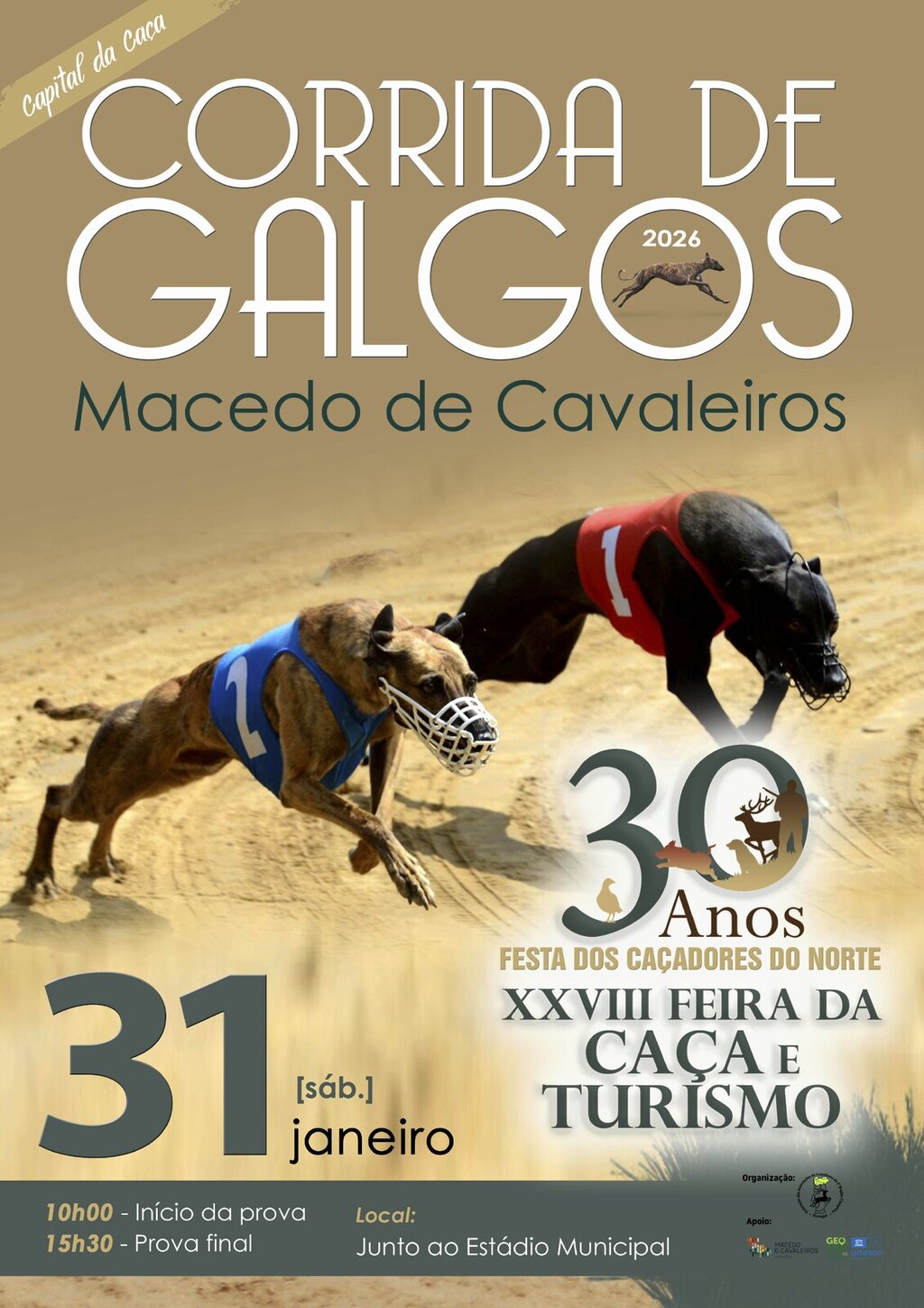 Corrida de Galgos 2026 (1)